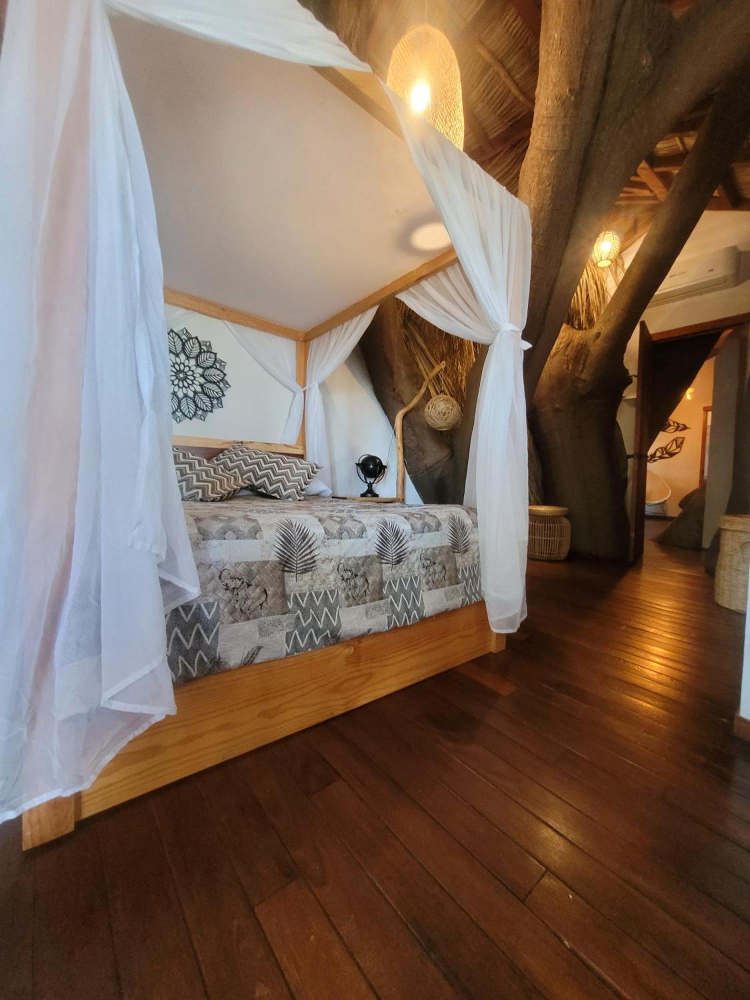 Villa San Luis Boutique - Nido San Luis Soyatlán Extérieur photo